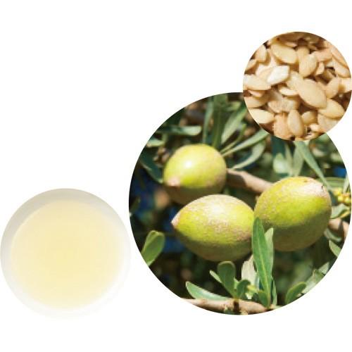 生活の木 有機アルガンオイル 未精製 ７０ｍｌ 12 501 2270 アロマ キャリアオイル 植物油 117 はなどんやアソシエ 通販 Yahoo ショッピング