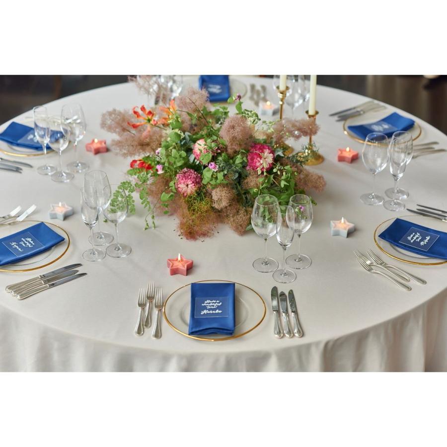 日限定07 ペガサスキャンドル 星形リレーキャンドル ウィスター