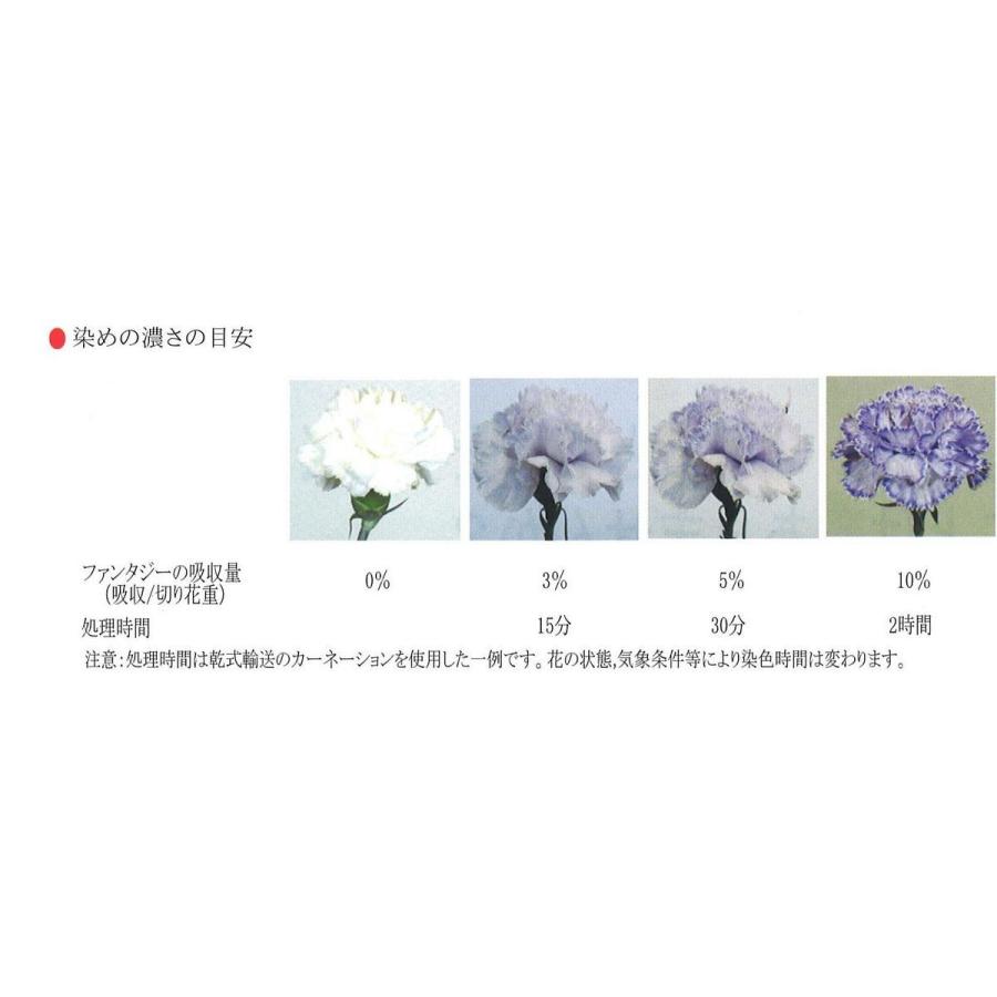パレス化学 ファンタジー 100ml イエロー 1520203 生け花 生花 道具