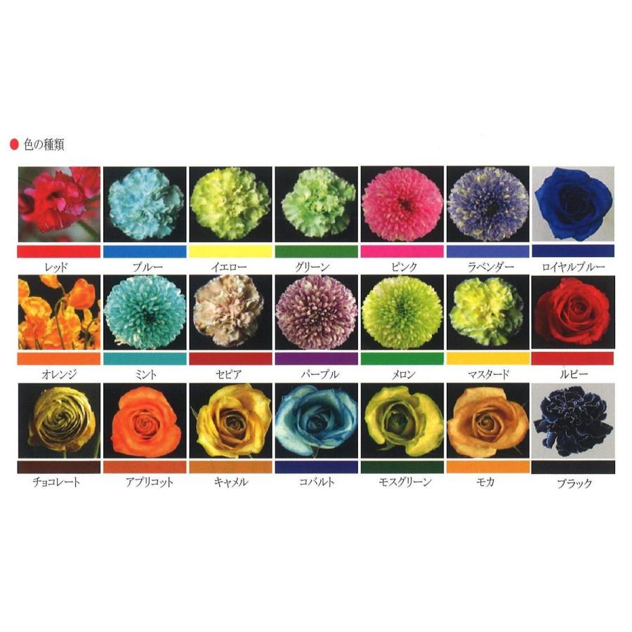 パレス化学 ファンタジー 100ｍｌ イエロー 1520203 生花用資材 切花着色剤 着色剤