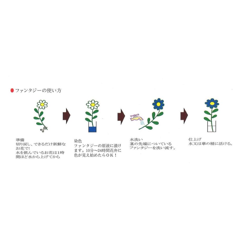 パレス化学 ファンタジー 100ml ルビー 1520221 生花用資材 切花着色剤|hanadonya|03