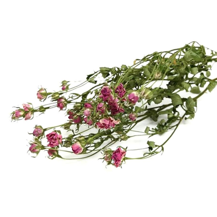 即日 ドライ そらプリ ｈａｎａ ｏｉｌ ドライ三角袋 リトルウッズ 輪 Spds0175 ドライフラワー花材 バラ ローズ 143 はなどんやアソシエ 通販 Yahoo ショッピング