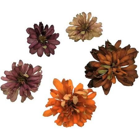 ドライ そらプリ 野の花ドライ ジニア ダブルザハラ 約5輪 Spdc0007 ドライフラワー花材 その他ドライフラワー 143 はなどんやアソシエ 通販 Yahoo ショッピング