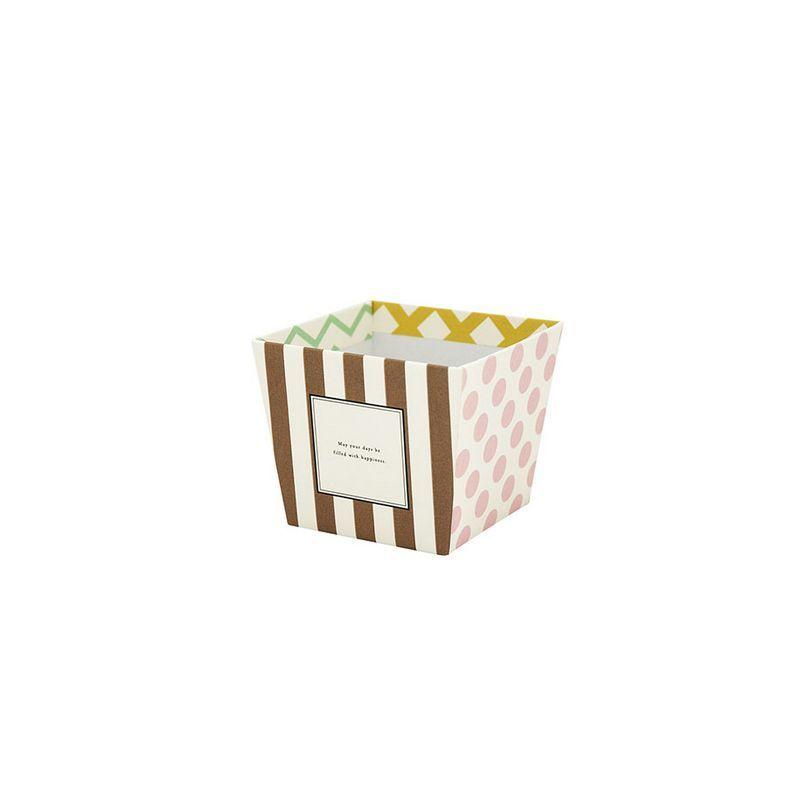 【安心の定価販売】 並行輸入品 箱話 ハコバナ デザインボックスポット2．5号パターン マルチ 10個 花器 花瓶 ボックス mac.x0.com mac.x0.com