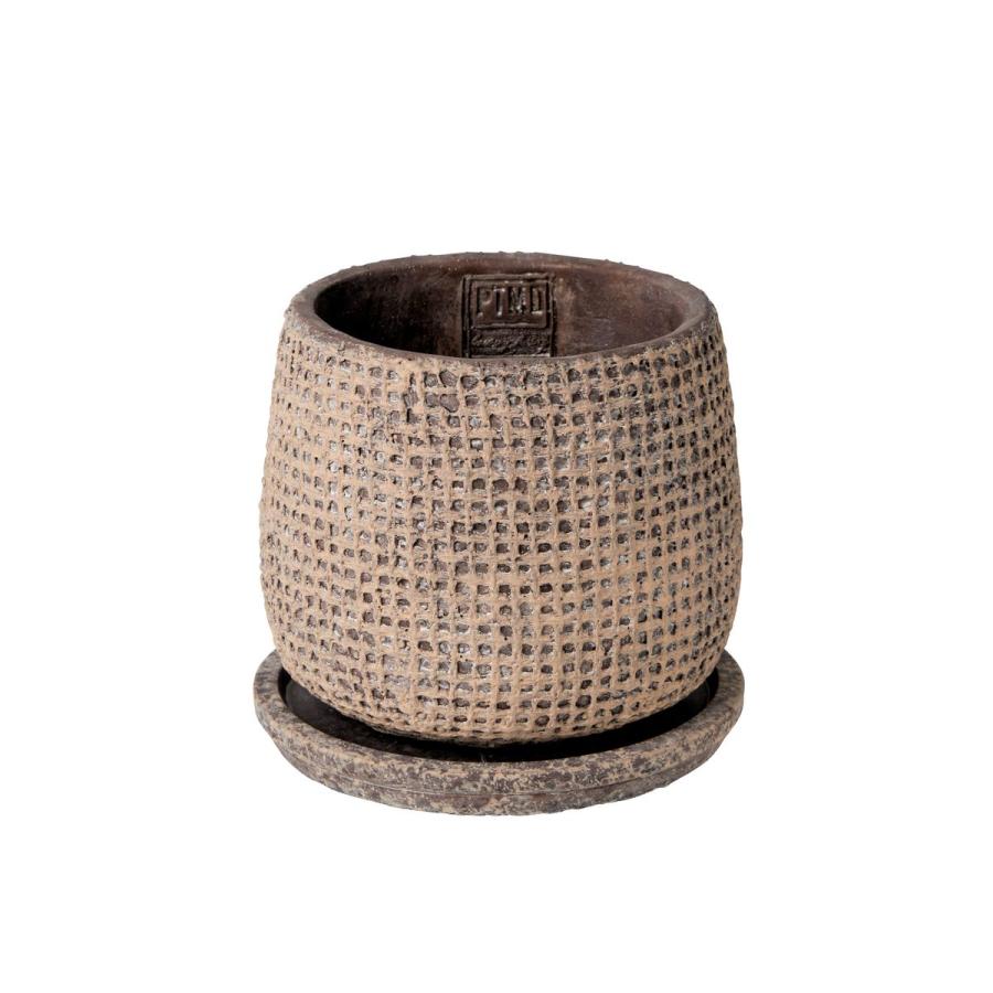 日限定21 PTMD Cord brown cement pot and saucer 植木鉢 おしゃれ