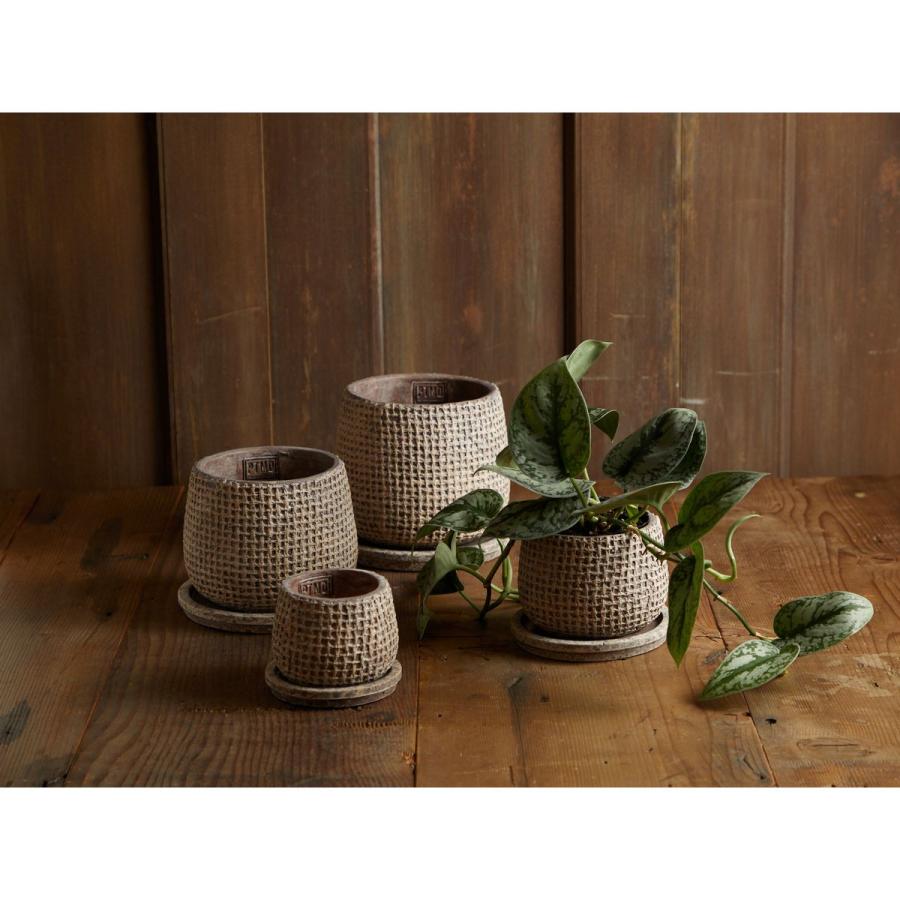 日限定21 PTMD Cord brown cement pot and saucer 植木鉢 おしゃれ