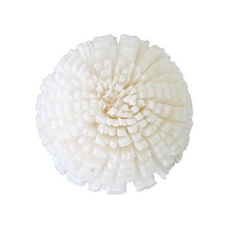 ☆★そらはな★☆ 日限定21 ハンドメイドフラワー solage ソラ ガーベラ SS 10輪 白