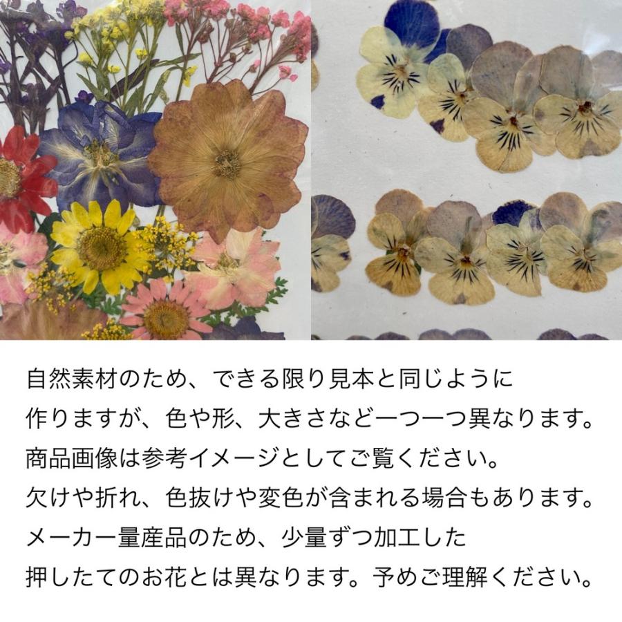 ハンドメイド 花材 ドライフラワー マトリカリア 寒色系 20輪+α