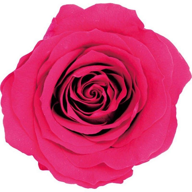 プリザーブドフラワー花材大地農園ビビアン・ミミ・いずみ