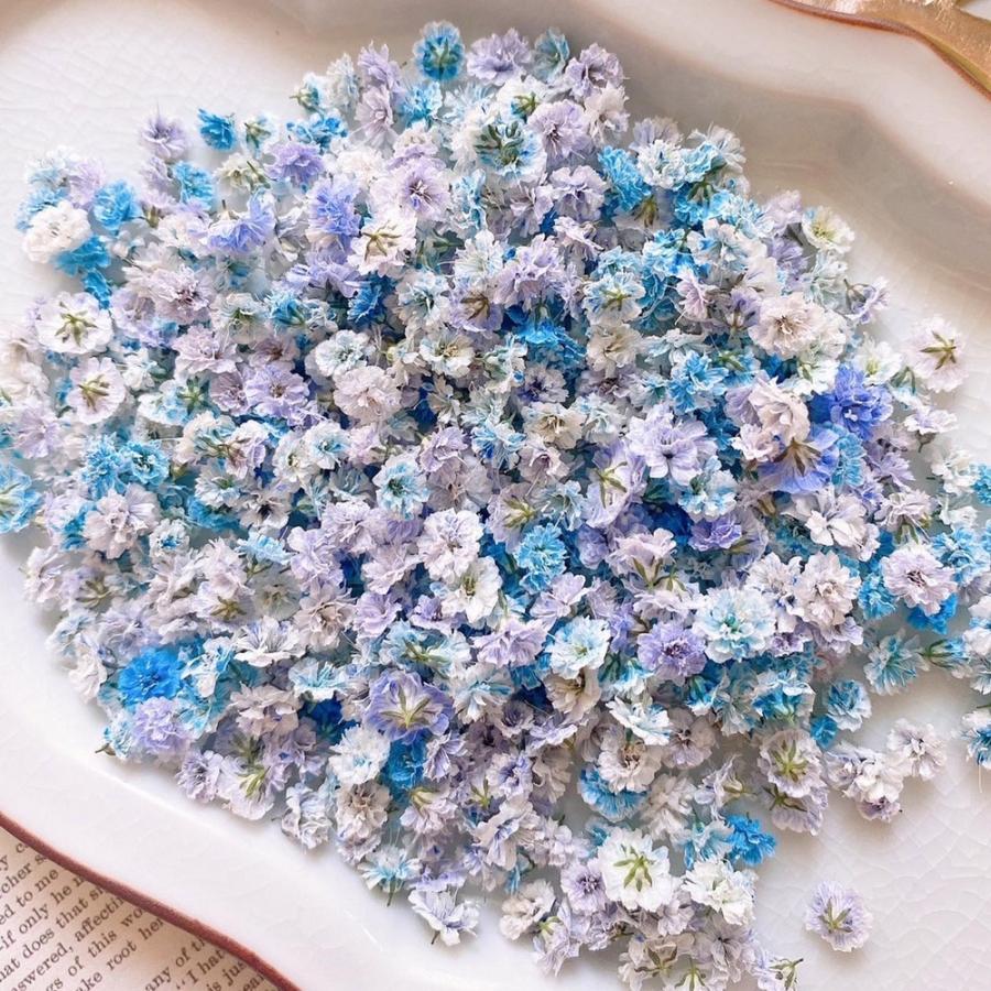 ドライフラワー ハンドメイド 花材 花材詰め合わせ 紫陽花