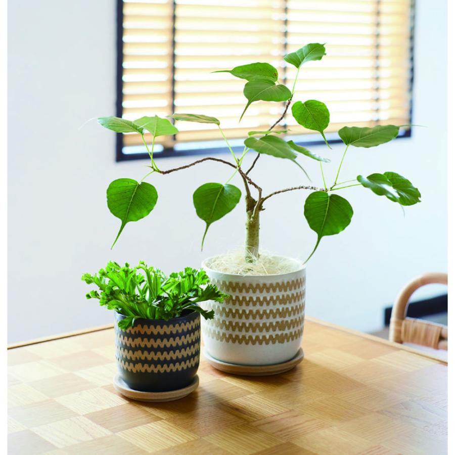 日限定08 FARM インナ 15 G 40110 4個 植木鉢 おしゃれ ガーデニング