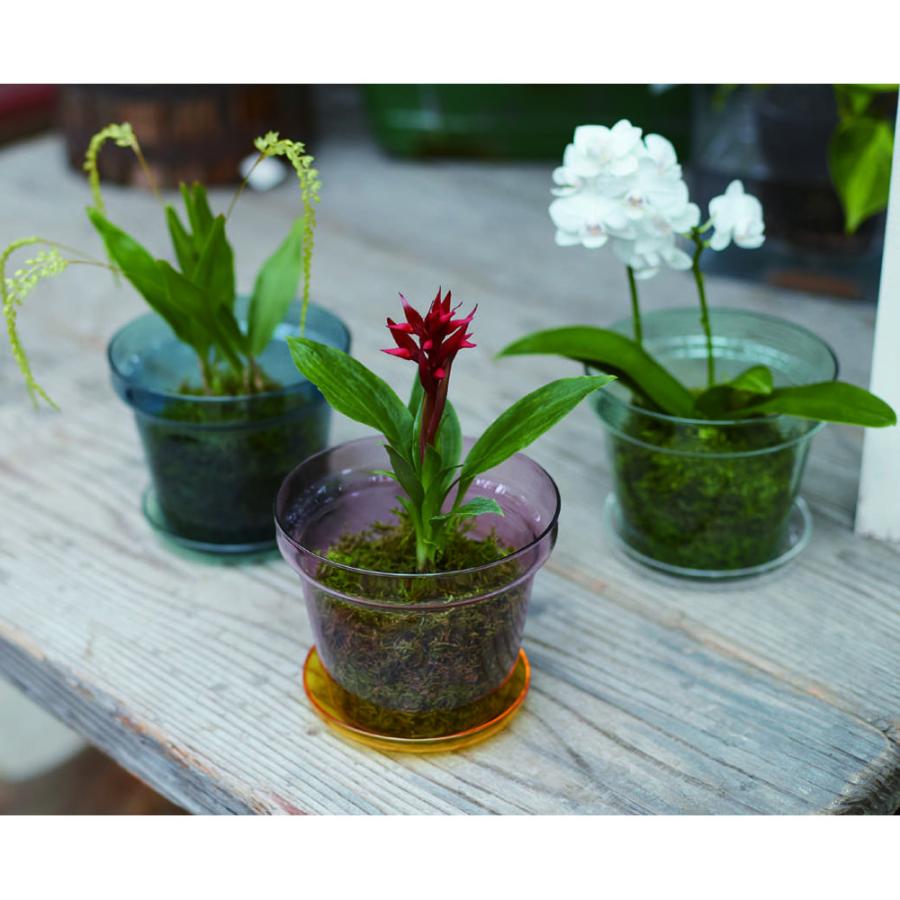 日限定07 FARM ブローグラスポット11 クリア／クリア 93107 2個