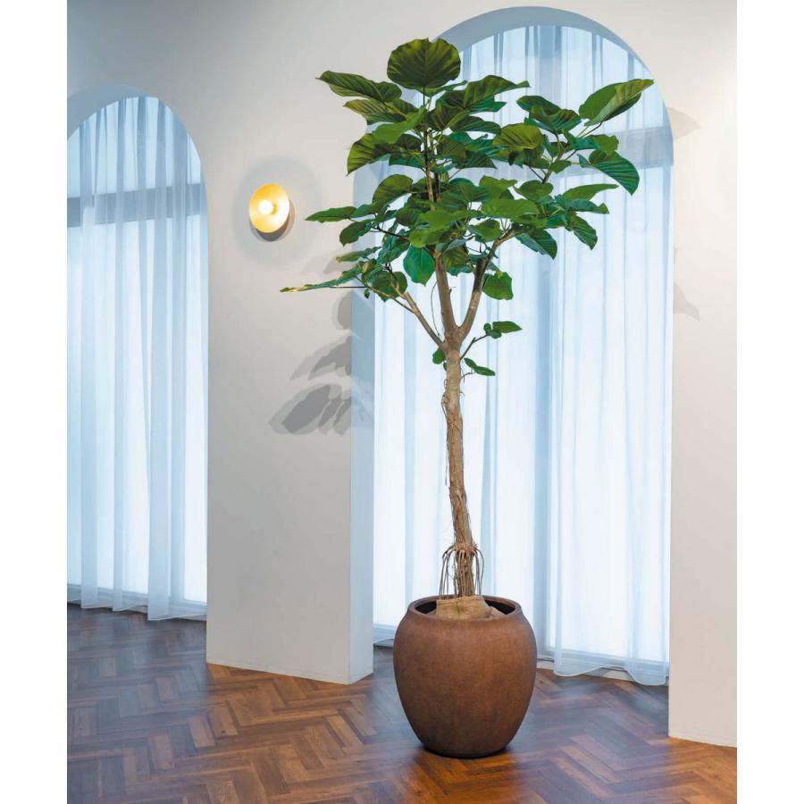 日限定07 直送 グリーンポット ルノ トールジャー カプチーノ 48cm EB-RT4862CP※返品 代引き キャンセル不可_1