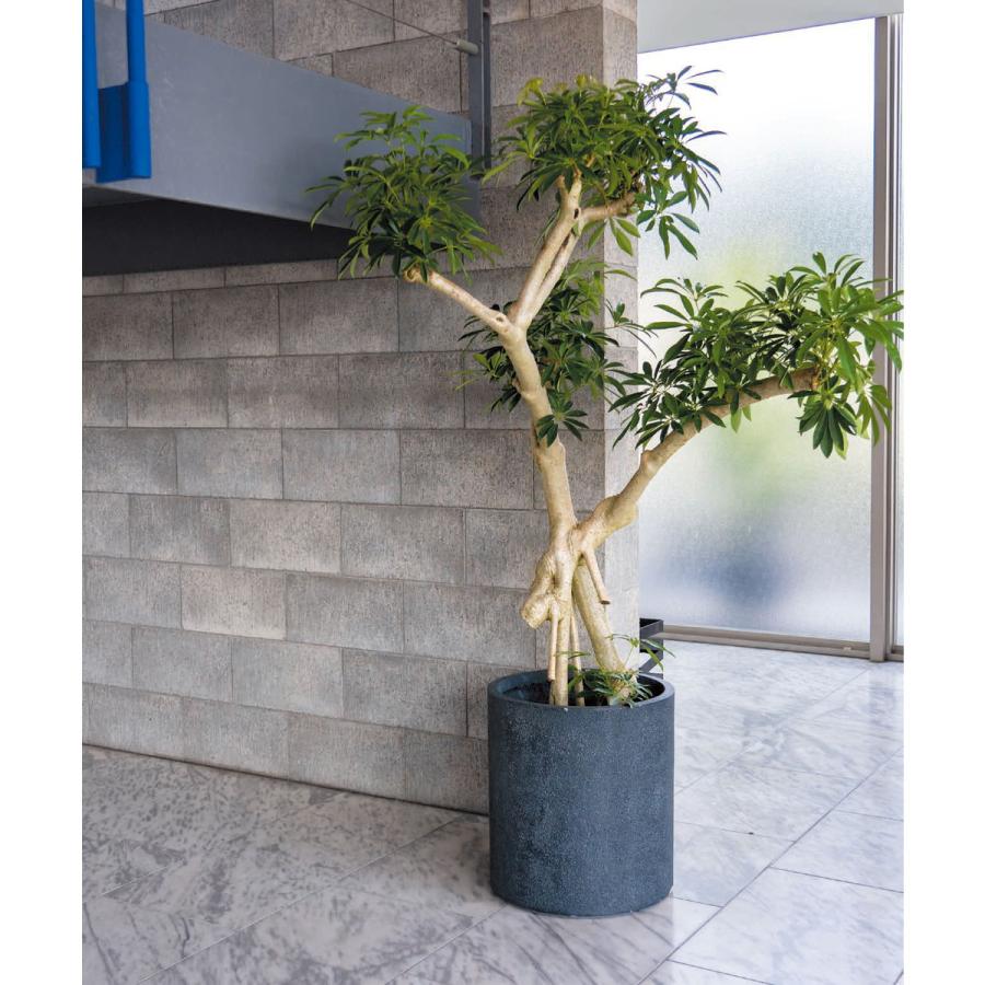 グリーンポット 植木鉢 グレイニー エッグ グレー アウトレット 35cm
