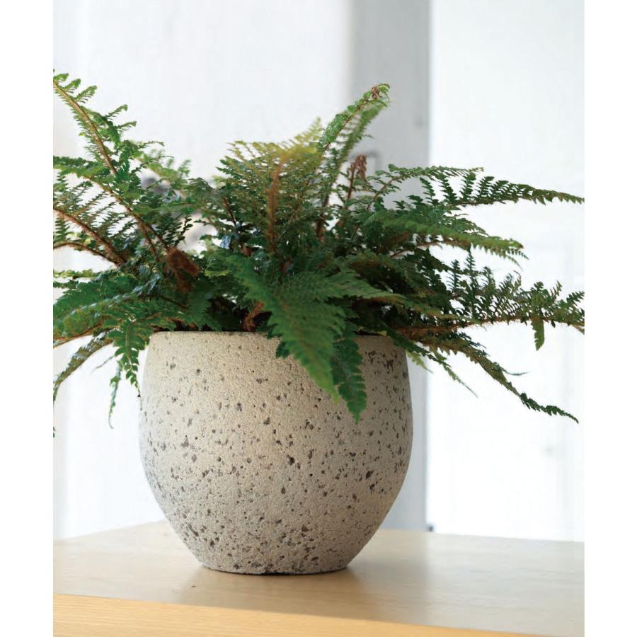 日限定07 グリーンポット ノード エッグ 25cm AN-NE2521WH 植木鉢