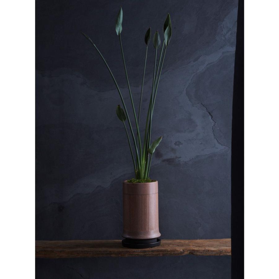 オーボエリード＜カンタービレ＞ギルツィオ （新品チューブ） MH：4本