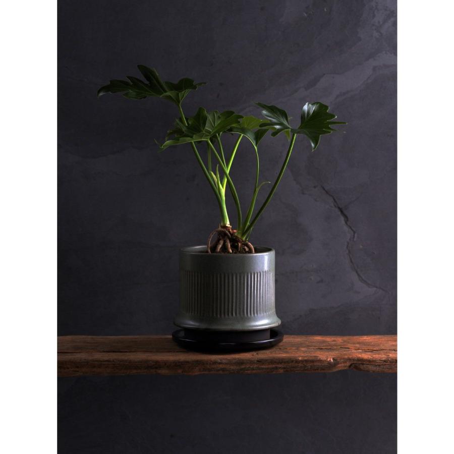 ミュールミル ミネルバ紫M GX-003MPu 2個 植木鉢 園芸用品 フラワー