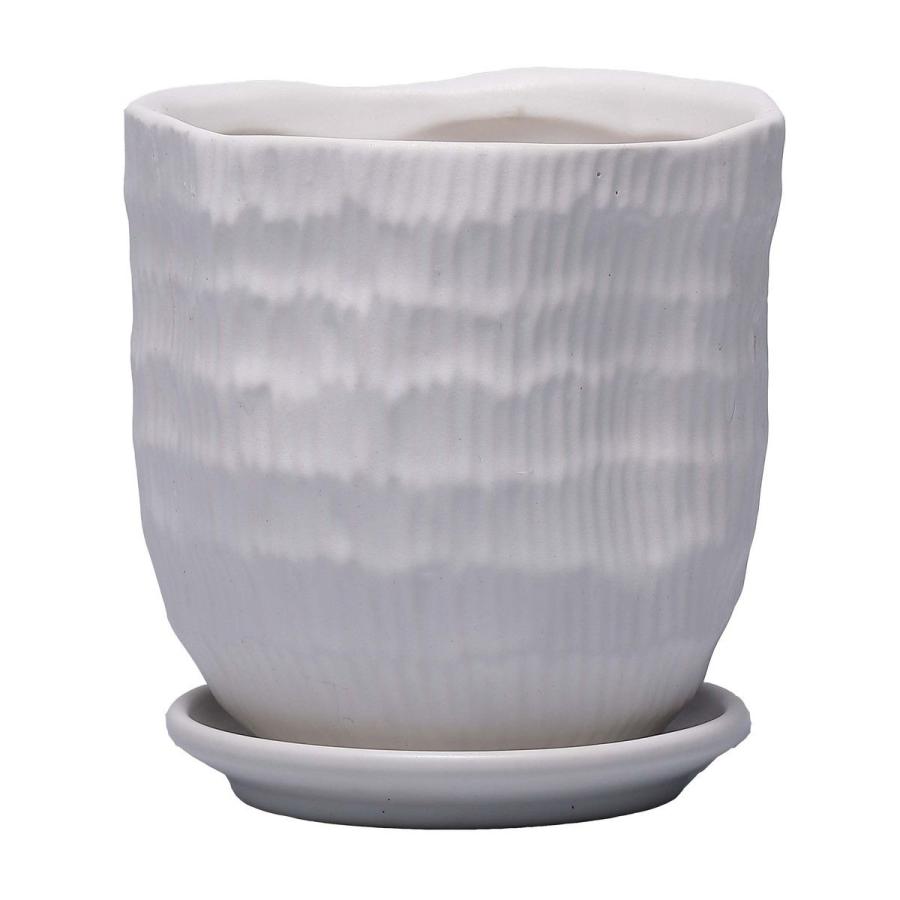 ミュールミル ハピ白S CK-002SWh 植木鉢 おしゃれ ガーデニング 園芸用品 フラワーポット 陶器 セラミック鉢 : はなどんやアソシエ -  通販 - Yahoo!ショッピング