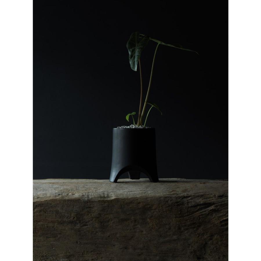 丸い 園芸用品 ミュールミル 植木鉢 グレー 植木鉢の通販 受け皿付き