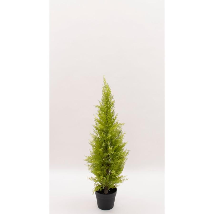直送 人工観葉植物 ビダヤコム ゴールドクレストポット Ｓ  グリーン FD3167-024G ※返品 代引 キャンセル不可