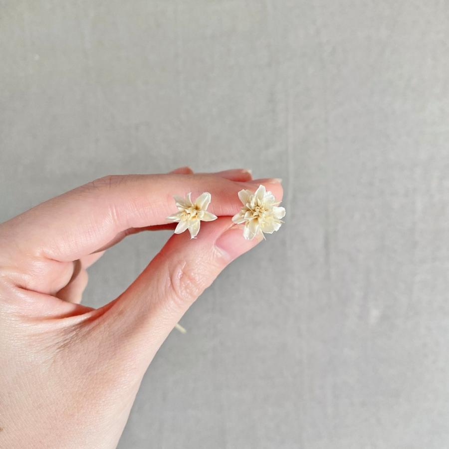 日限定10 ドライ 小分け 大地農園 ミニコーンフラワー 白 約1 3束