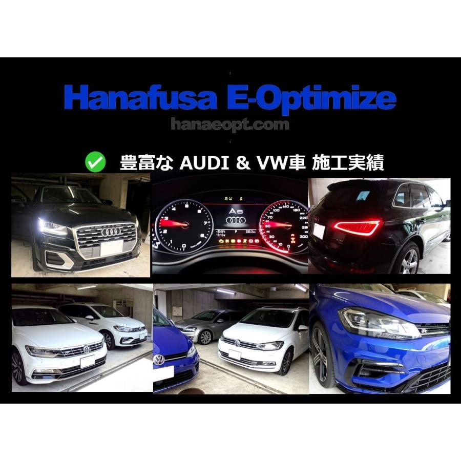 上限金額固定】VW/AUDI VCDSコーディングサービス : Hanafusa E