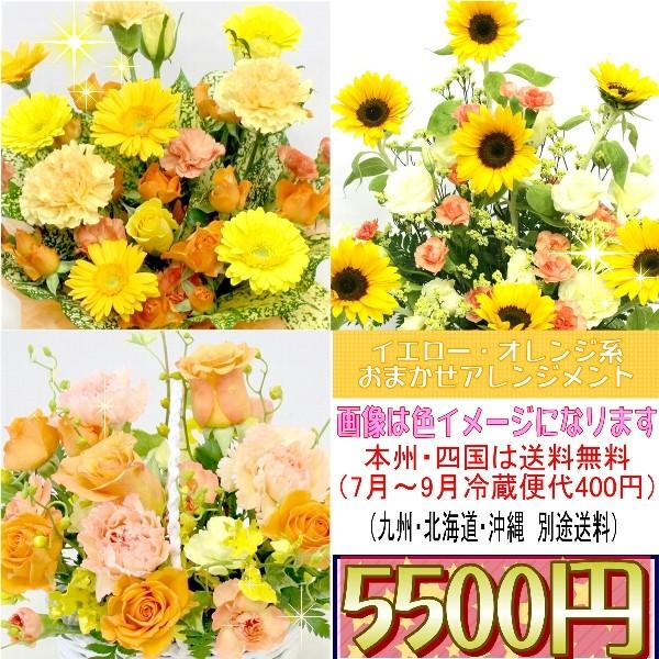 誕生日　記念日　お祝い　　イエロー・オレンジ系のおまかせアレンジメント5,500円｜hanaei
