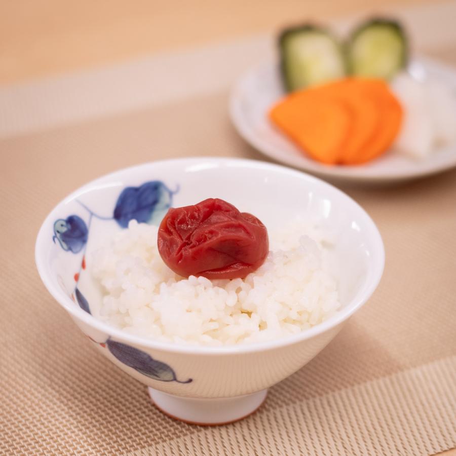 茶碗 有田焼 波佐見焼 水引草軽々フィット碗（小・赤/大・青）軽い