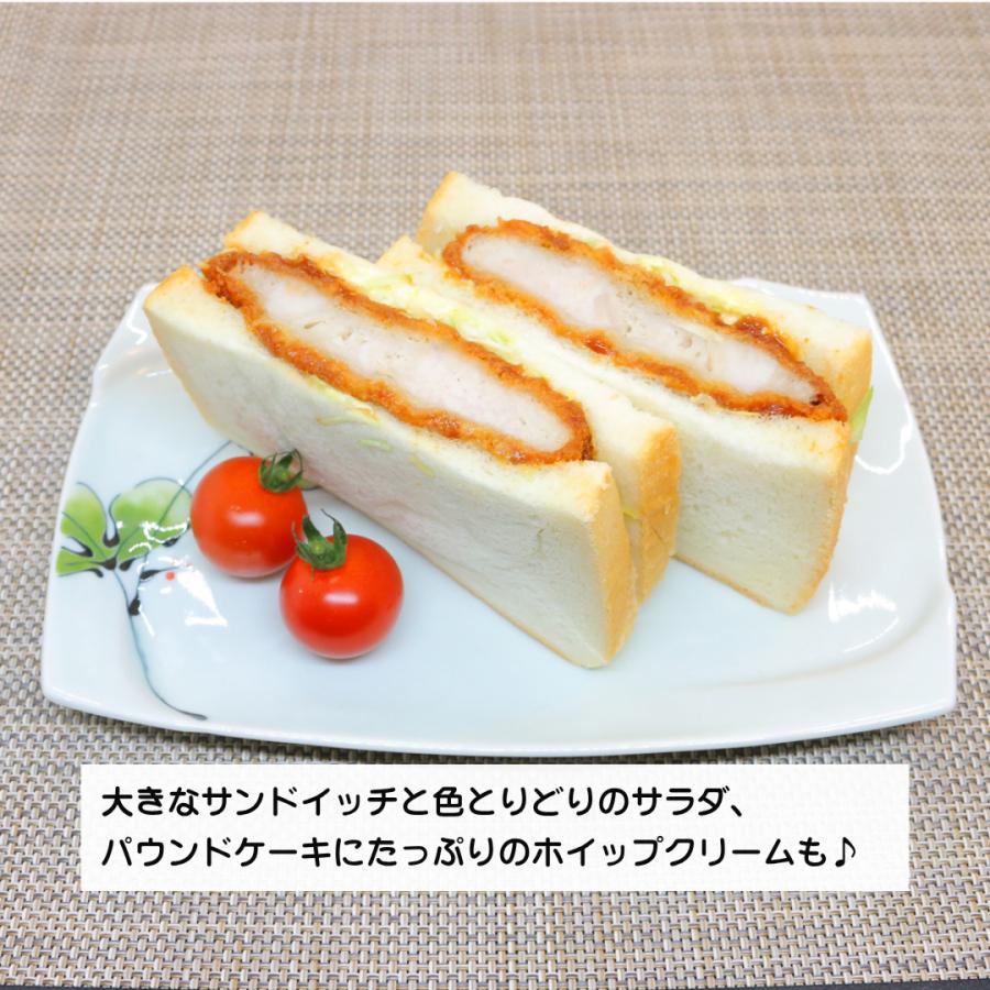 焼き物皿 有田焼 波佐見焼 長角皿 オリジナル ラズベリー渕取角皿 実