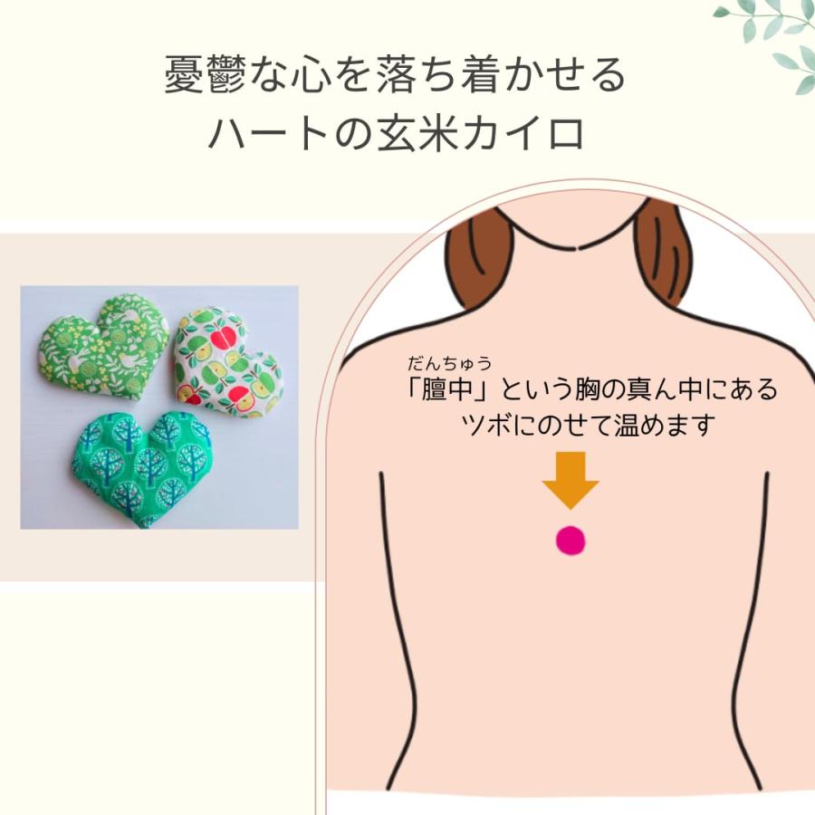 国産無農薬玄米カイロ ハート型 ミニサイズ ゆずめろん。 温活