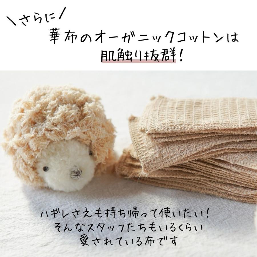 華布（hanafu） 極み ハギレライナー 10枚 オーガニックコットン