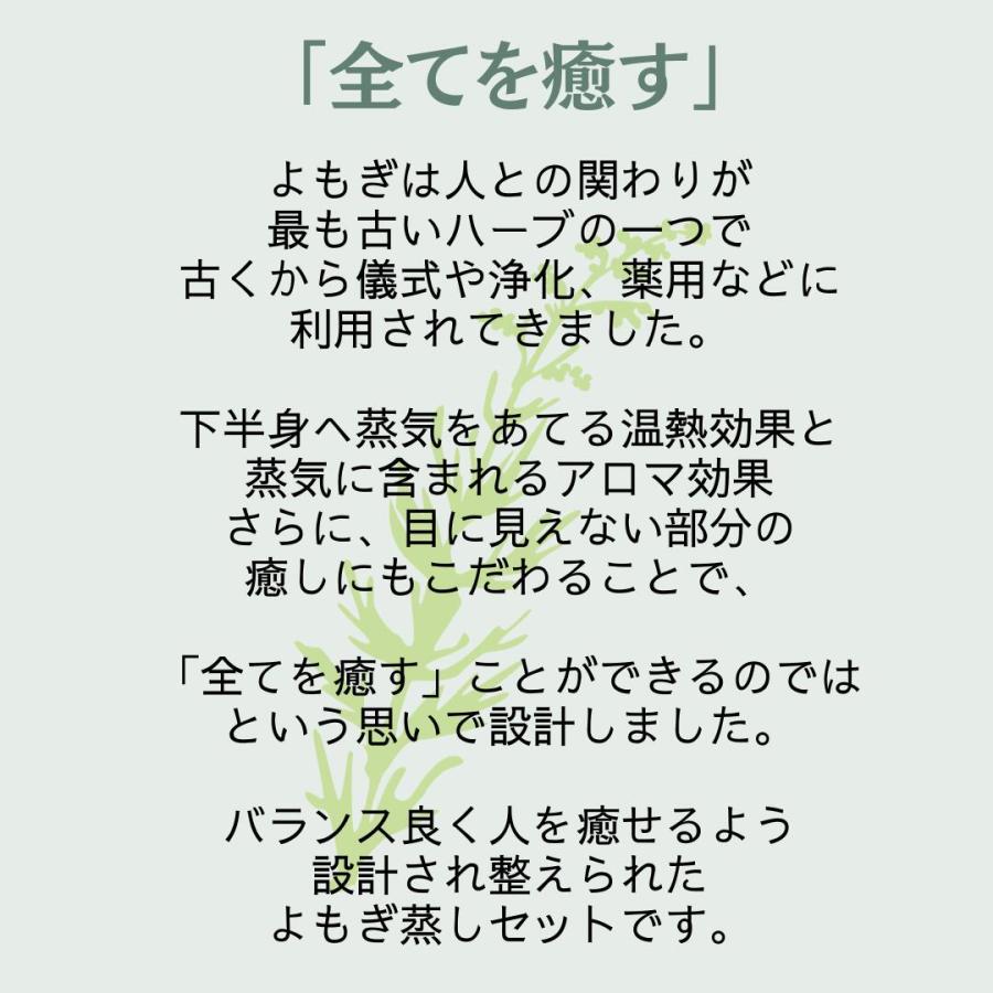 よもぎ蒸し 家庭用セット よもぎ温熱セラピー協会 正規代理店 yomogina 自宅 家庭 日本製 国産 天然ヒノキ 木製 よもぎ ヨモギ ヨモギーナ 温活 冷えの画像