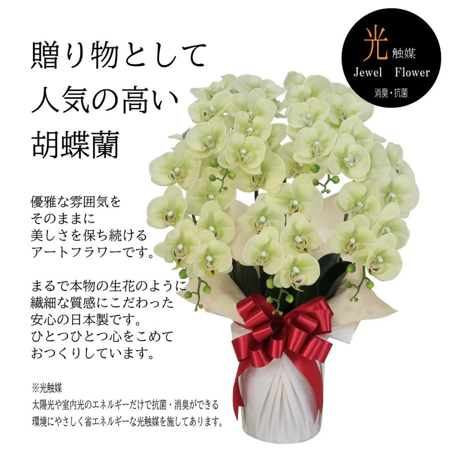 開店祝 開院祝 胡蝶蘭 お祝い 一周年記念 周年記念 花ギフト 蘭 お祝い