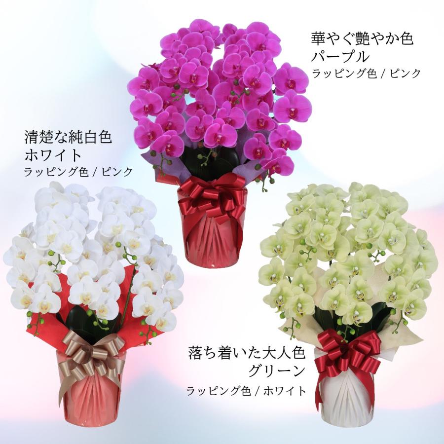 開店祝 開院祝 胡蝶蘭 お祝い 一周年記念 周年記念 花ギフト 蘭 お祝い