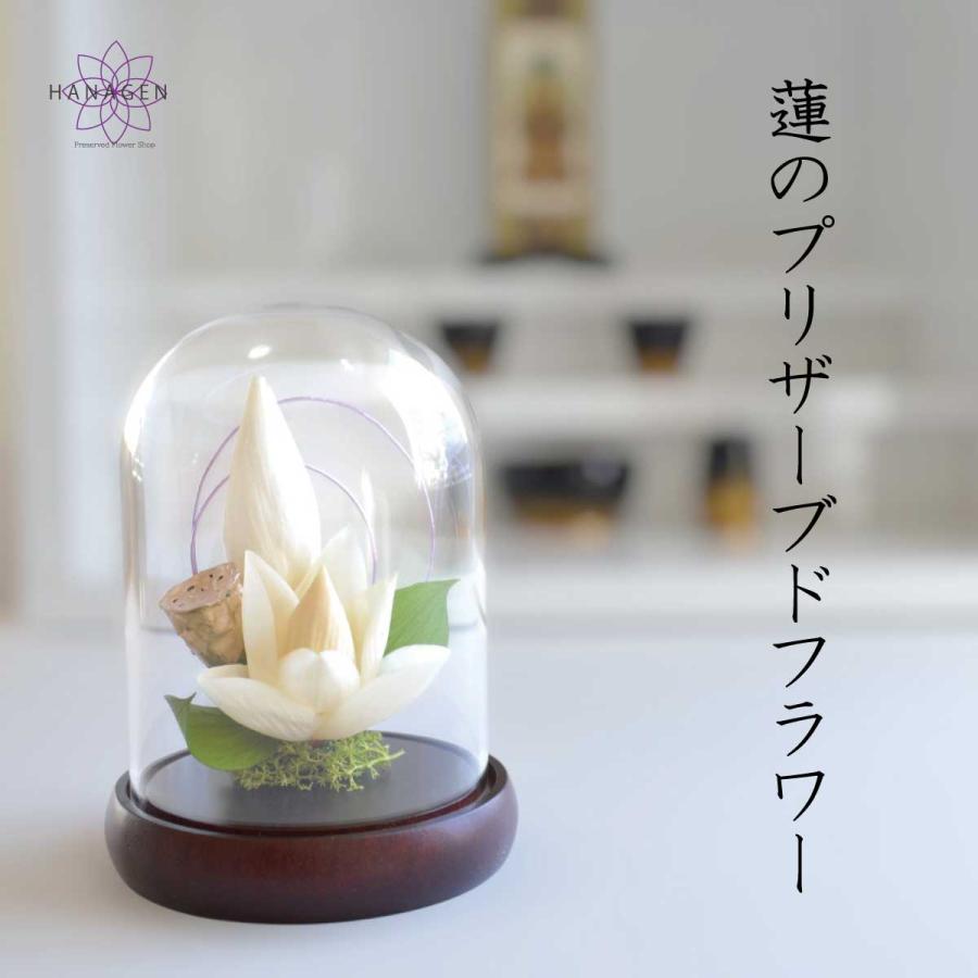 プリザーブドフラワー ＊ガラスケース対 輪菊 蓮&タッセル ＊仏花 供花 母の日 プリザーブドフラワー 仏花 供花 お供えの花 蓮 ガラスドーム 彼岸 蓮
