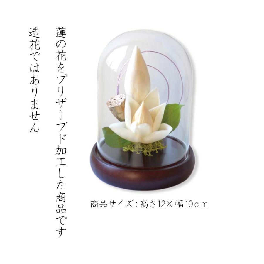 プリザーブドフラワー 仏花 供花 お供えの花 蓮 ガラスドーム 彼岸 蓮