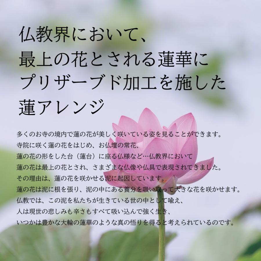 お供えの花 蓮 はす 供花 仏花 プリザーブドフラワー仏花 アレンジ