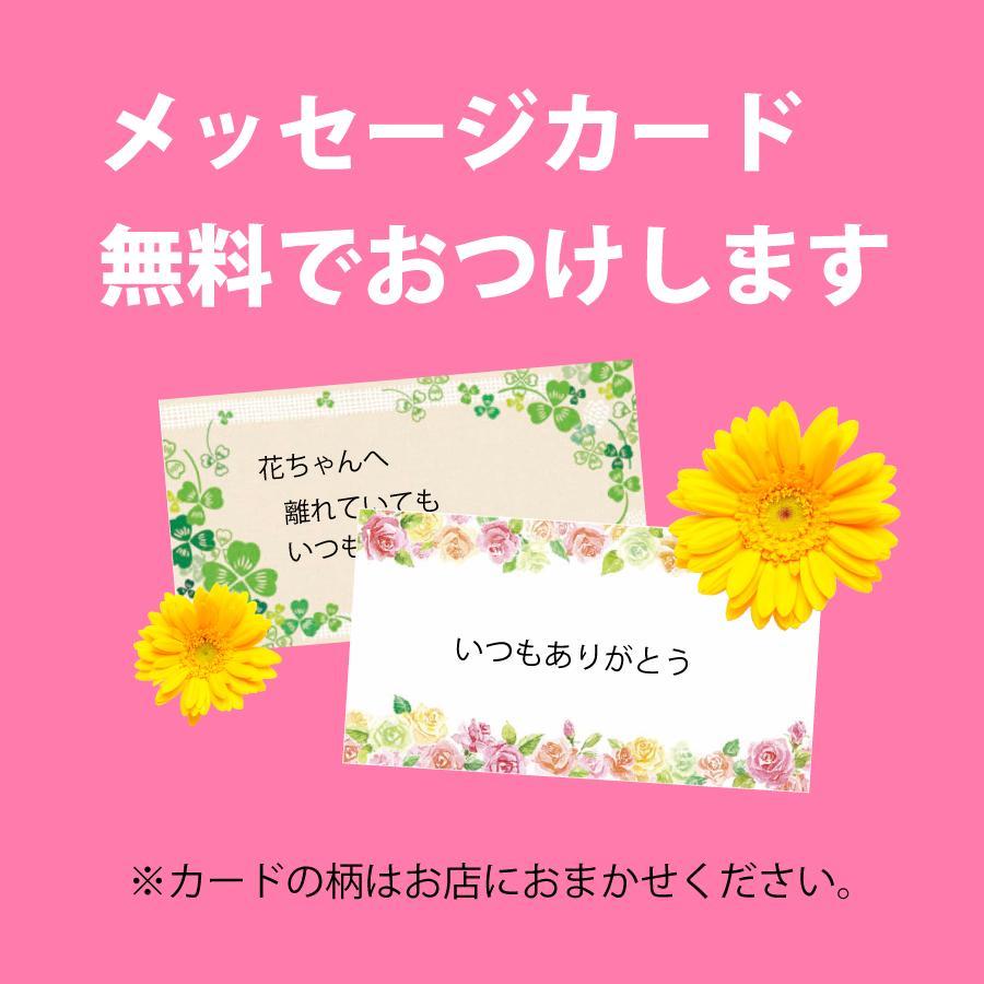 花キューピット 花キューピットのフラワーギフト 花束/ブーケ