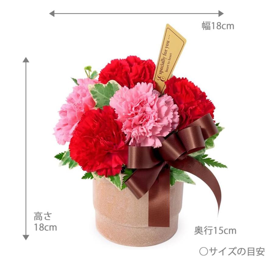 母の日 花キューピット カーネーションのかわいいフラワーアレンジメント フラワーギフト プレゼント 花 − 521336 生花 宅配｜hanagin｜02