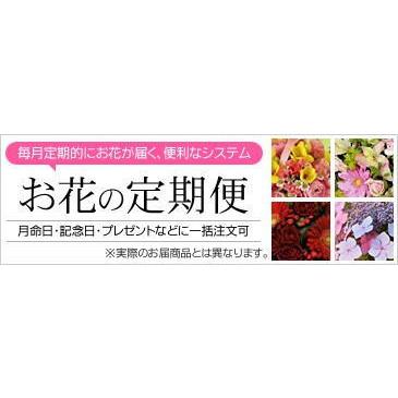 お花の定期便−TEIKI007　お花の定期便3，500円(税別)×5ヶ月　月1回(5回コース)