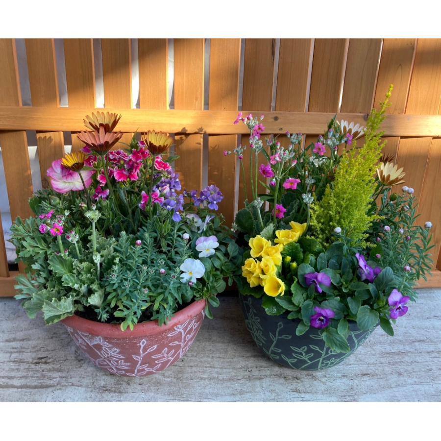 送料無料（一部地域を除く）】季節の寄せ植え リーフ柄 軽量