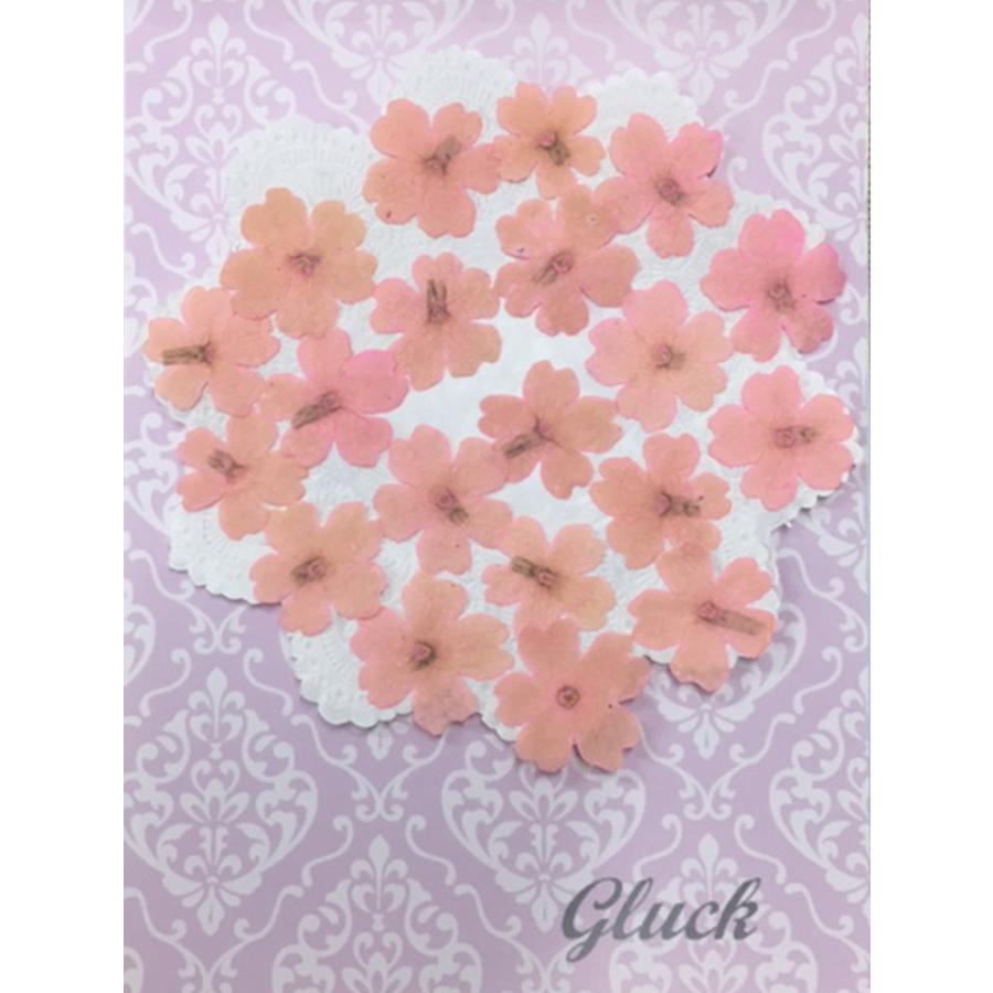 オープニング 大放出セール コンパクト 押し花 バーベナ さくらピンク 枚をパックにしてお届け Uvレジンでスマホケースも作成可能 ハンドメイド