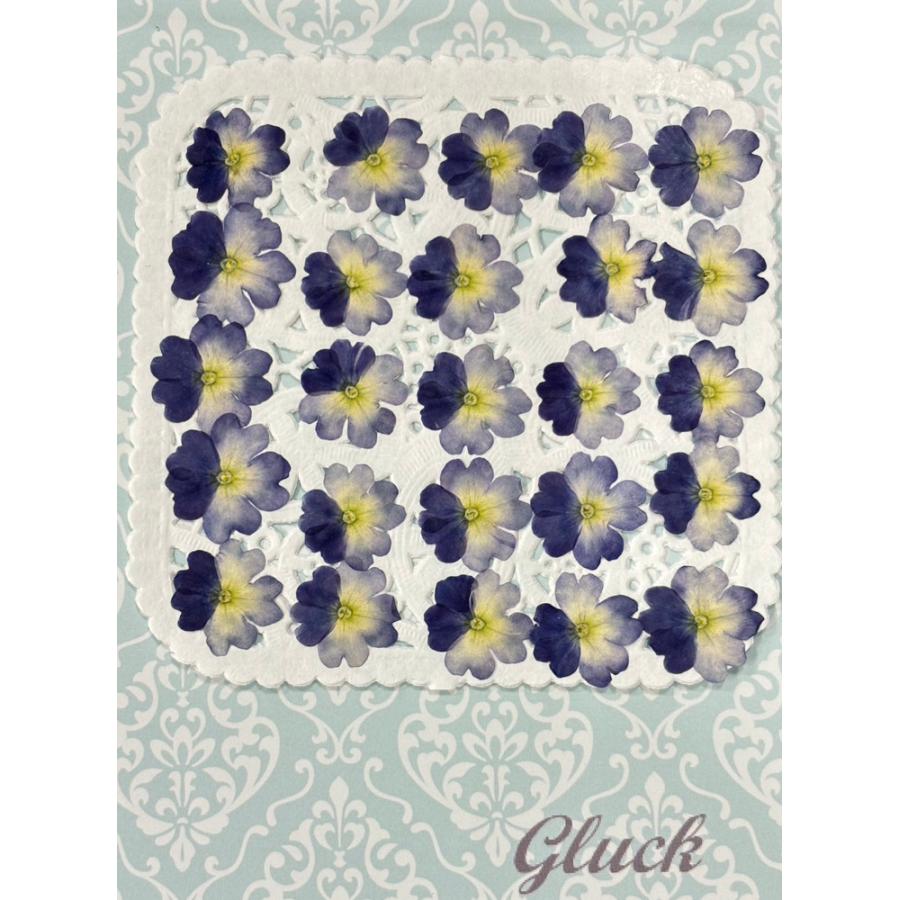 大きな押し花アート額付き 31 56 送料込み フラワー 紫陽花 アジサイd