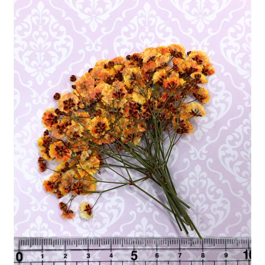 ランキングtop10 コンパクト 押し花 カスミソウ オレンジ 少量をパックにしてお届け ハンドメイド Uvレジンでスマホケースも作成可能 かすみ草 Aynaelda Com