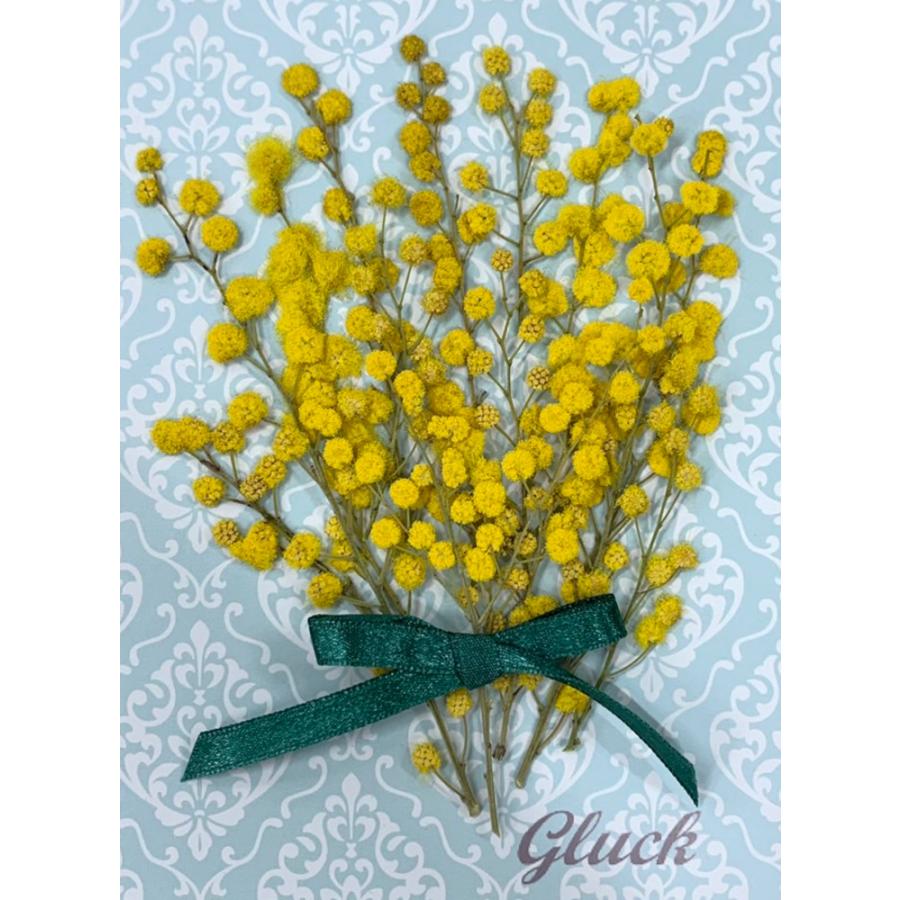 限定版 押し花 ミモザ お試し用 素材 材料 Zir Clinic