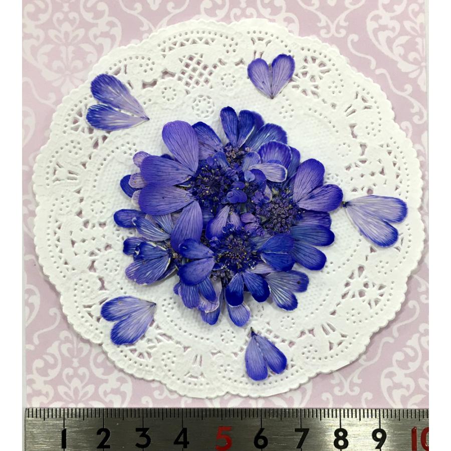 【N.574】ハンドメイド　キーチェーン 紫陽花　レースフラワー　青 追跡可能便でお届け】コンパクト 押し花 オルラヤレースフラワー