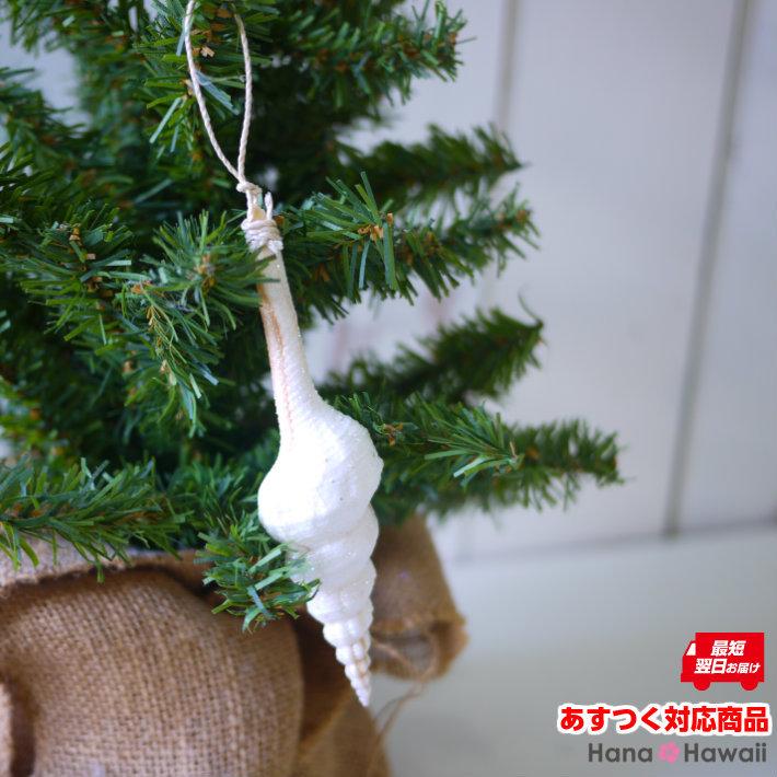 あすつく 即日発送対応 ラメ付き巻貝オーナメント クリスマス ハワイアン雑貨 ハワイ クリスマスツリー 貝殻 シェル 小物 インテリア雑貨 ディスプイ Tmc ハナ ハワイアン ファブリック 通販 Yahoo ショッピング