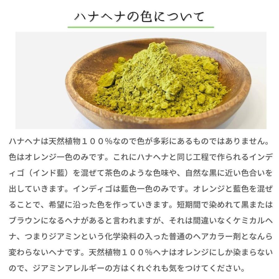 ハナヘナ ナチュラル（ヘナ）100g 6個セット ヘナ ハナヘナ hana