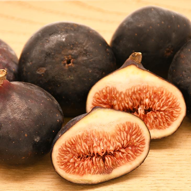 イチジク 苗 【ビオレソリエス】 3年生 挿し木 約1.3m 大苗 : 苗木の