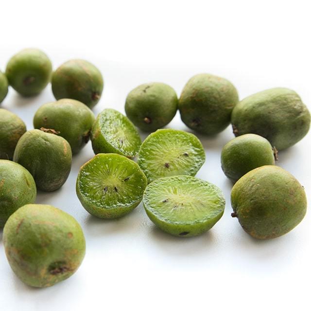 新作ウエア さるなし 苗 Ld133 接ぎ木苗